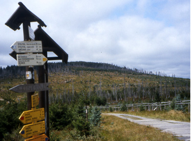 Jizersk hory (Isergebirge) hat aufgrund des Waldsterbens viele kahle Flchen