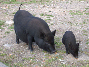 So viel Schwein hatten wir bei unserer Wanderung mit dem Wetter: An keinem Tag Regen!