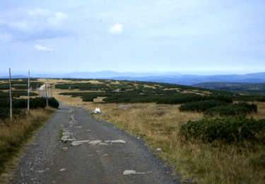 Der Kammweg auf dem Riesengebirge