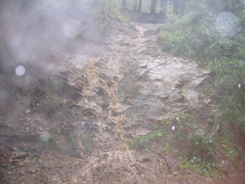 Wanderweg von der Martinske hole nach Martin - fast unpassierbar