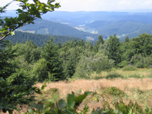 Mittagspause vor dem Ort Kasarne