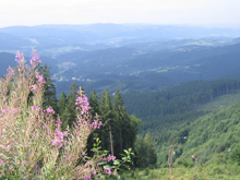 Blick ins Becva-Tal bei Rosenau am Radegast