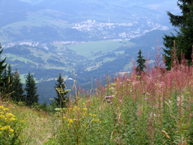 Dolny Kubin - unser Etappenziel -ist bereits in Sicht