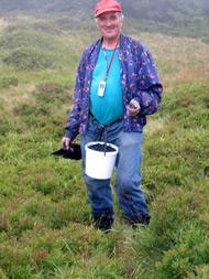 Heidelbeersammler auf unserem Weg nach Strecno