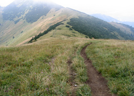 Der Kammweg durch die nrdliche Mala Fatra bietet viele Ausblicke