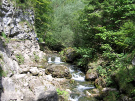 Bach im unteren Verlauf der Prosieka dolina
