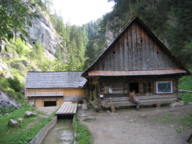 Am oberen Ende der Schlucht: Holzmhle Oblazy