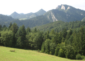 Der Dreikronenberg vom Wanderweg oberhalb des Flusses aus gesehen