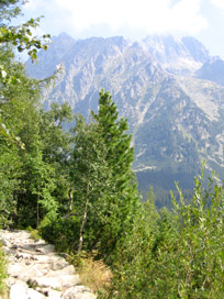 Ausblick kurz vor dem Popradske pleso (Poppersee) in der Hohen Tatra