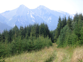 Der hchste Gipfel der Belaer Tatra, der Havran 2.151 m und den zweithchsten Gipfel, der Zdiarske vidla 2.142 m