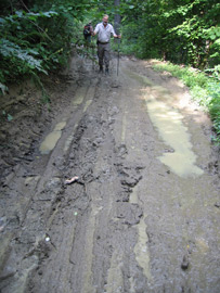 Schlamm und Pftzen auf dem europischen Fernwanderweg in der Ostslowakei