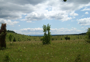 Groe Hochflchen werden im Nationalpark Aggtelek, Ungarn, von der Landwirtschaft nicht genutzt