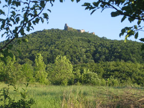 Burgruine in Regc