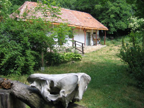 Rast an einer Holzdatscha mit Ochsenkopfskelett