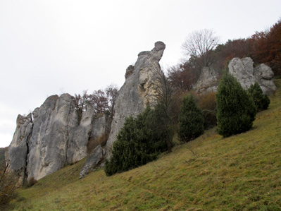 Felsen mit Wachholderbsche bei Dollnstein