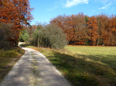 Altmhltal-Panoramaweg berquert die Kohlplatte 498 m 