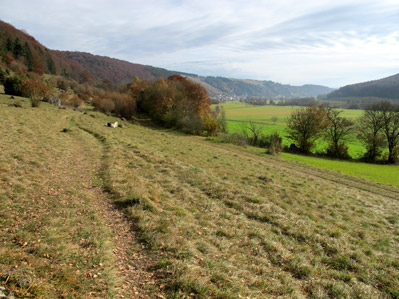 Der Altmhltal-Panoramaweg verluft bis Obereichsttt durch das Tal der Altmhl.