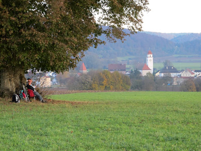 Blick von einer Anhhe auf Dollnstein.