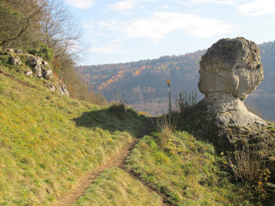 Oberhalb der Hammermhle  verluft der Altmhltal-Panoramaweg