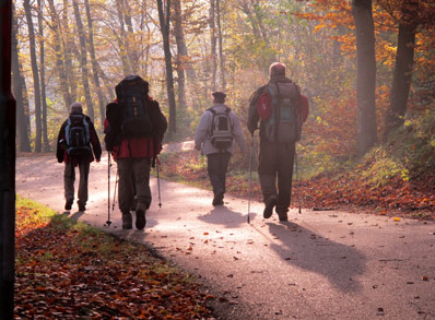 Das Wetter konnte Ende Oktober 2010 fr unsere Wanderung auf dem Altmhltal-Panoramaweg nicht besser sein.