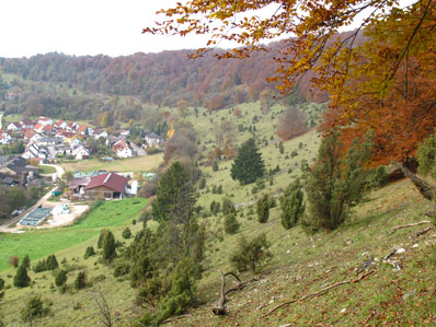 Wacholderheide vor dem Ort Zimmern an der Altmhl