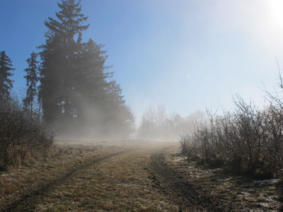 Im Altmhltal hlt sich  zh der Nebel, aber auf dem Arzberg beginnt er sich gegen 11 Uhr aufzulsen