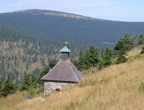 Wunderttiges Heidebrnnel auf dem Kammweg des Altvatergebirges