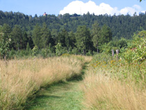 Aufstieg zu den Braunauer Wnden