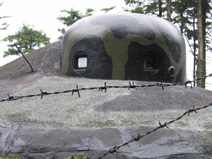 Bunkeranlage im Adlergebirge