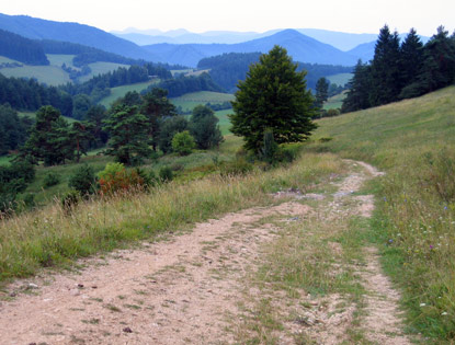 Von Vrechtepla bei Povask Bystrica (Waagbistritz) wandern wir in Richtung der Sľovsk vrchy (Sulower Felsen).