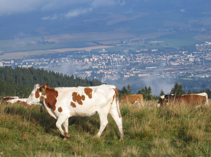 Blick vom Berg Veľk Lka auf die Stadt Martin (St. Martin in der Turz)