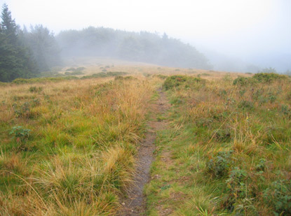 Am Veľk Lka 1.476 m (Groe Wiese) empfngt uns Heidelandschaft. Der Regen hat nachgelassen.