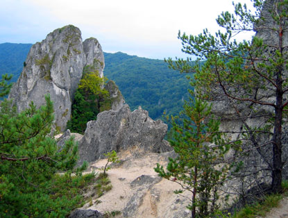 In dem Naturschutzgebiet gibt es unzhlige Kalkfelsen. Der Rundweg durch die Felsen ist mit Leitern gesichert.