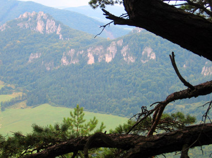 Rckblick auf die Sľovsky hrad (Burgruine) und Teile der Sľovsk vrchy (Sulower Kalkfelsen).