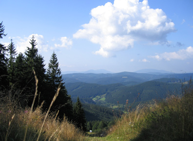 Vom Kammweg am Velk Javornik Blick ins Tal in Richtung Beskiden (Tschechien)