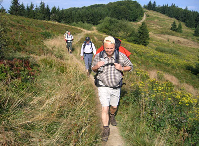 Der Kammweg am Velk Javornik (Slowakei). Links und rechts Heidelbeeren zum Sattessen.
