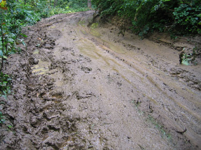 Vor der Ruine Zborov, eine unangenehmer Schlammweg