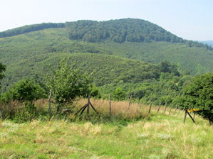 Ausblick auf die vor uns liegenden Bergrcken