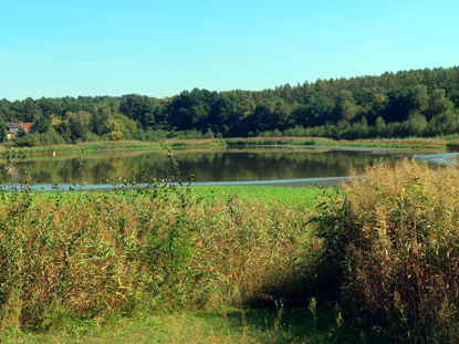 Kleiner Kolpiner See beim Ort Kolpin