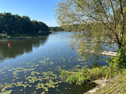 Die Spree bei Frstenwalde