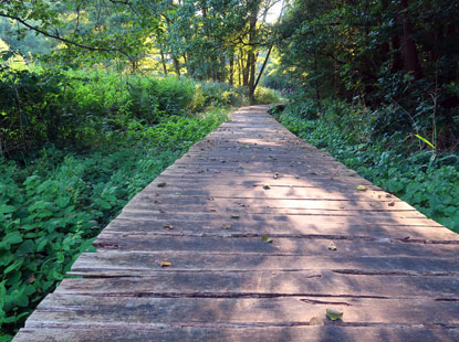 Holzbohlensteg bei Storkow (Mark) 