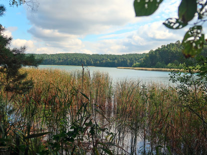 Grubensee mit dem besten Wasserqualitt aller Seen in Brandenburg. Aufgrund seiner Wassertiefe von 23 m auch Tiefer See genannt