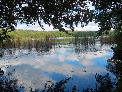 Melangsee in Brandenburg