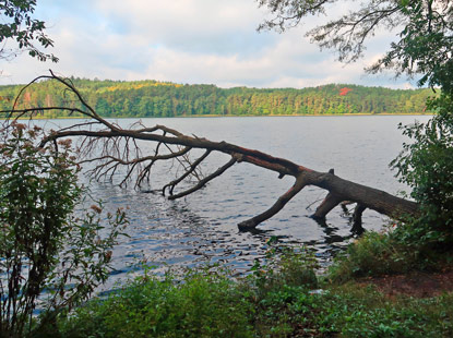 Springsee bei Wendisch Rietz in Brandenburg