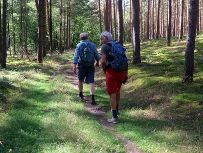 Vom Grubensee zum Godnasee fhrt der Wanderweg am Hang des Blocksbergs 