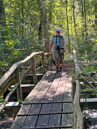 Golzbrcke ber den Verbindungskanal zwichen dem Schwanensee un dem Mittelsee