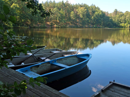 Mittelsee einer dere Kthener Heideseen