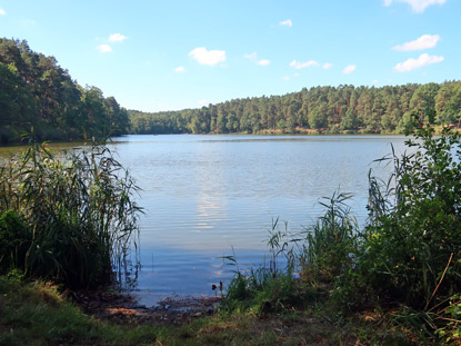 Schwanensee bei Kthen