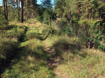 Weg am Umflukanal bei Neukthen