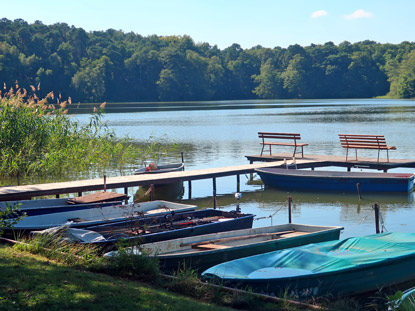 Tornow See. Die bekannteste Fischart ist der Zander. 